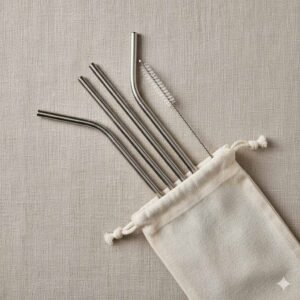 Stainless Steel Straws Pack